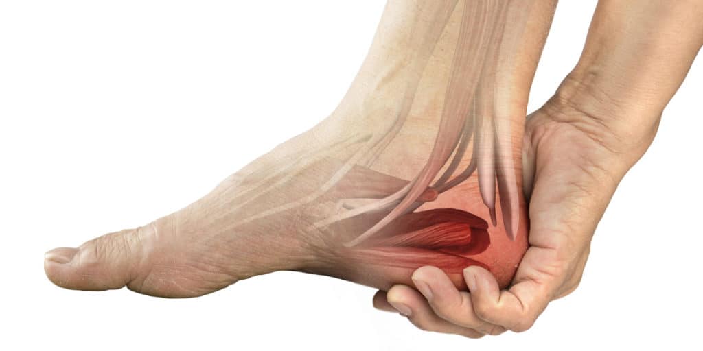 Learn About Causes And Treatment For Heel Pain Trinity Foot Center